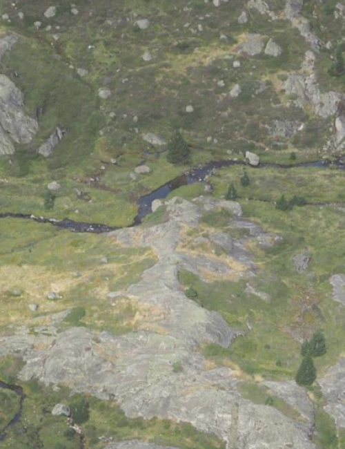 Valueofnaturerapport